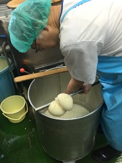 豆腐屋　豆乳をさらに絞る