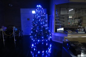 クリスマスツリーのデコレーション：照明なし
